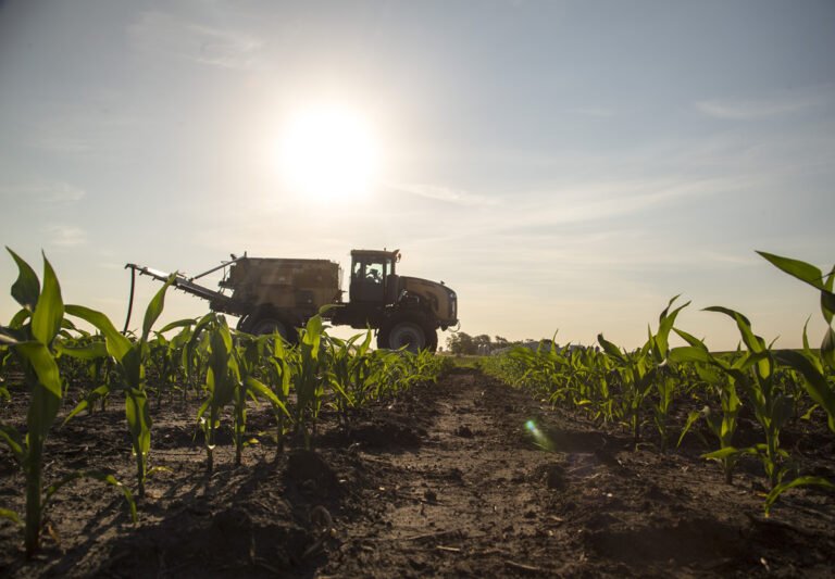 Fertilizer Ever Green CoOp